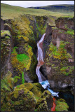 DSC_2410_1.jpg