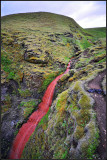 DSC_2415_1.jpg