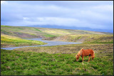 DSC_0828_1.jpg