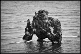 DSC_0838_1.jpg
