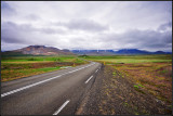 DSC_3606_1.jpg