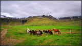 DSC_3627_1.jpg