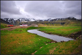 DSC_3633_1.jpg