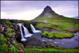 DSC_3707_1.jpg
