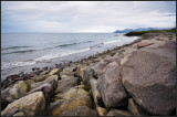 DSC_3792_1.jpg