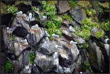 DSC_1024_1.jpg