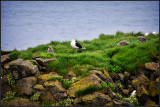 DSC_1025_1.jpg