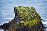 DSC_1042_1.jpg