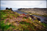 DSC_3872_1.jpg