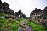 DSC_3898_1.jpg