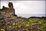 DSC_3957_1.jpg