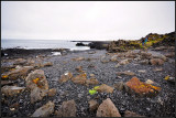 DSC_3963_1.jpg