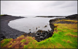 DSC_3979_1.jpg