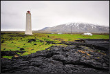 DSC_3991_1.jpg