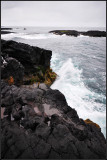 DSC_3999_1.jpg
