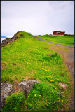 DSC_4014_1.jpg
