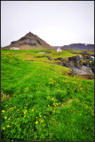 DSC_4022_1.jpg