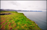 DSC_4056_1.jpg