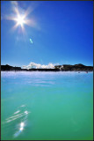 DSC_4491_1.jpg