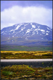 DSC_0017_1.jpg