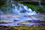 DSC_0205_1.jpg