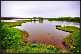 DSC_1718_1.jpg