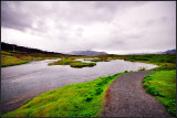 DSC_1729_1.jpg