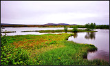 DSC_1762_1.jpg