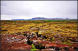 DSC_1770_1.jpg