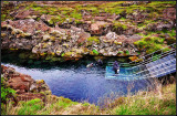 DSC_1773_1.jpg