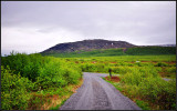 DSC_1790_1.jpg