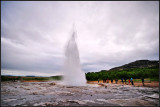 DSC_1861_1.jpg