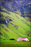 DSC_0290_1.jpg