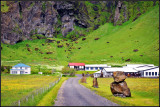 DSC_0328_1.jpg