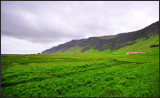 DSC_2080_1.jpg