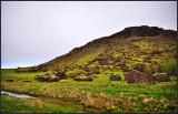 DSC_1954_1.jpg