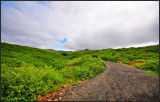 DSC_2481_1.jpg
