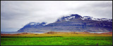 DSC_2732_1.jpg