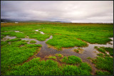DSC_2457_1.jpg