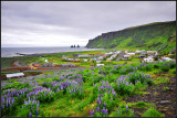 DSC_2295_2.jpg