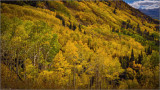 DSC_6505_1.jpg