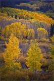 DSC_2267_1.jpg