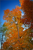 DSC_3010_1.jpg