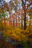 DSC_3047_1.jpg