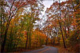 DSC_3051_1.jpg