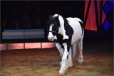 DSC_3188_1.jpg
