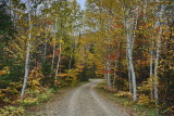 NEW2_DSC8644_Ste-Beatrix_Lanaudiere_Quebec_P_Brunet.jpg