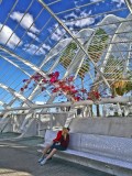 Young Love, City of Arts and Sciences