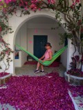 Oia petals