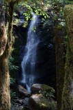 Merriman Falls 3.jpg